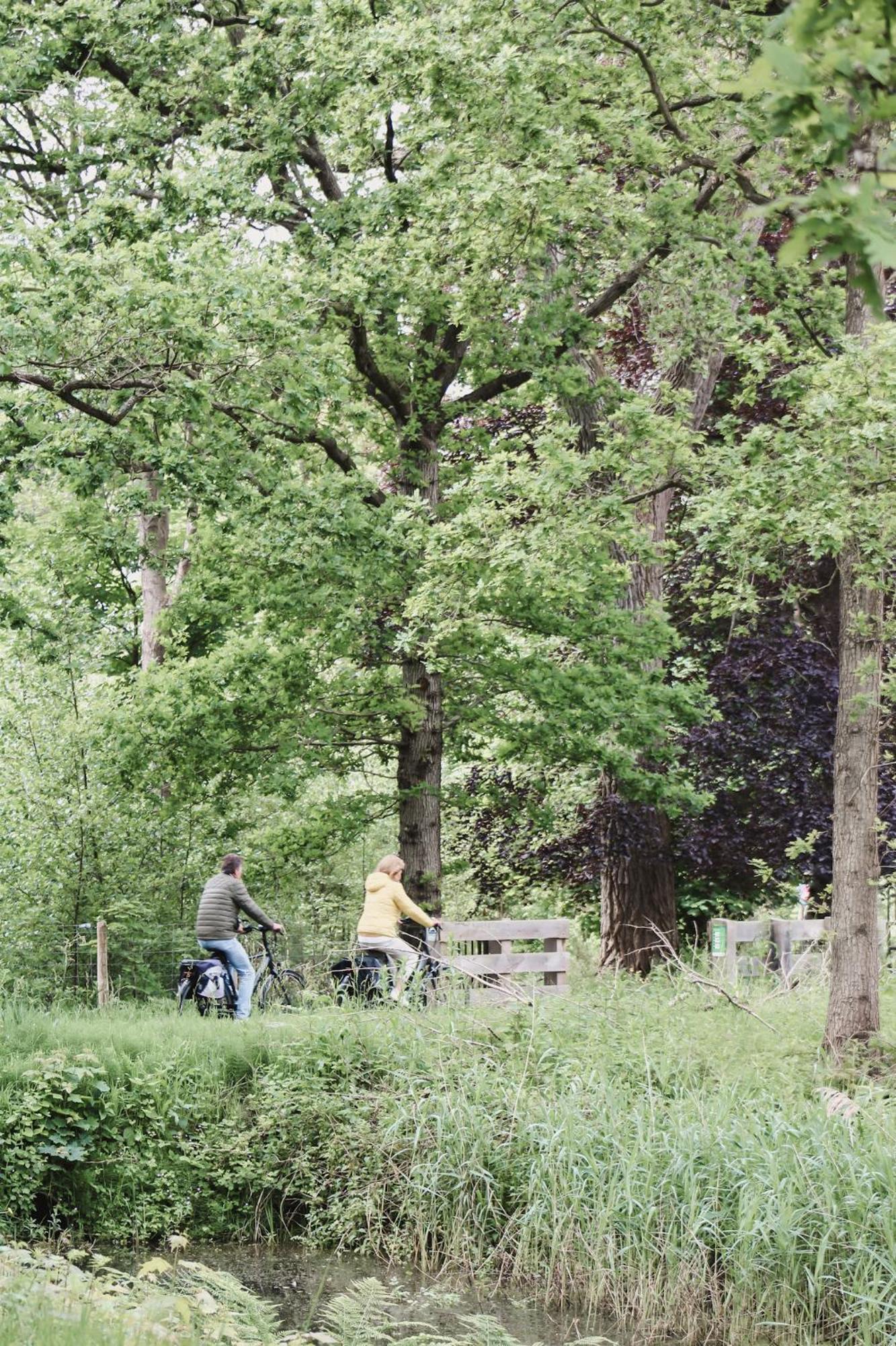 Zoomers Aan Het Bos Castricum Extérieur photo